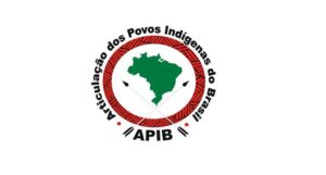 apib-site-1-e1564490804268